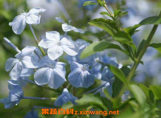 �Ӻ����Ĺ�Ч������ �Ӻ�����ô��