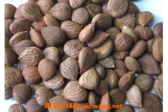 �������ʵ������빦Ч