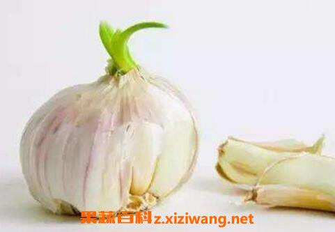 ���ⷢѿ�ܳ��� ������ô���治��ѿ