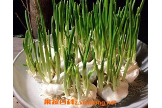 ˮ�����Ҫ��Ƥ�� ����ˮ�෽��ͼ��