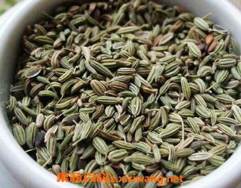 С����Ĺ�Ч�����ü�ҩ�ü�ֵ