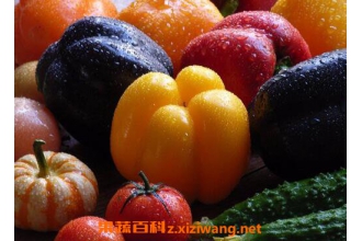 ��������ת����ʳƷ ת����ʳƷ�ļ�ⷽ��