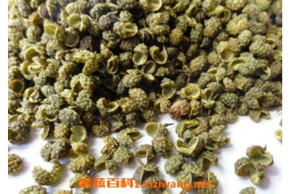�齷�Ĺ�Ч������ �齷��ô������