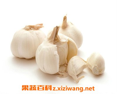 ʳ�ô���ע������