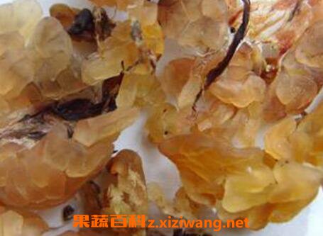 ѩ��Ĺ�Ч������ Ѫ����Щ�˲��ܳ�