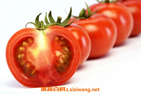 ���������ļ���