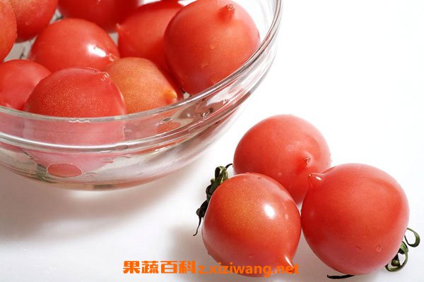 ��������ע������