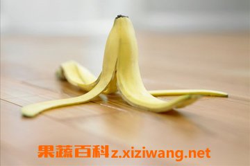 �㽶Ƥ
