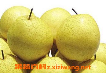 ѩ����