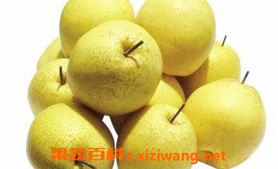 ѩ����