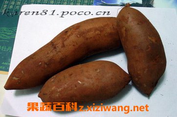 ѩ����