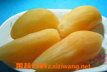 ѩ����
