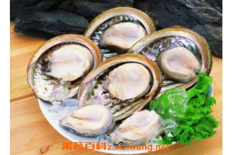 ����������ô�� ����������������