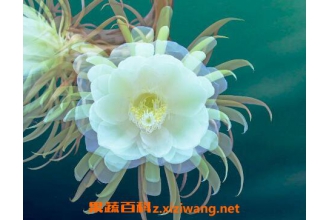 꼻�������δ��� 꼻���Ҷ��ô����