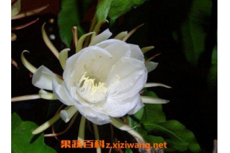 꼻�ժ������α��� 꼻��ı��淽��