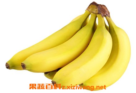 �㽶�Ĺ�Ч