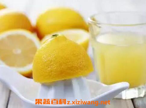 ������ôե֭ ����ե֭����ֱ�Ӻ��� 