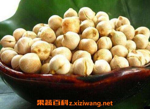 ӥ�춹�Ĺ�Ч������ ӥ�춹�ĸ�����