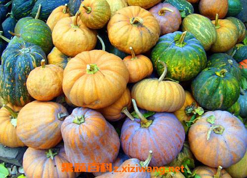 �Ϲϵ�Ӫ����ֵ