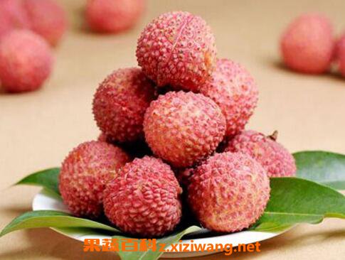 ����֦�ϻ��� ��֦��ô�Բ��ϻ�
