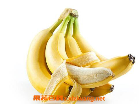 �ո����㽶���� �ո����㽶��Σ��