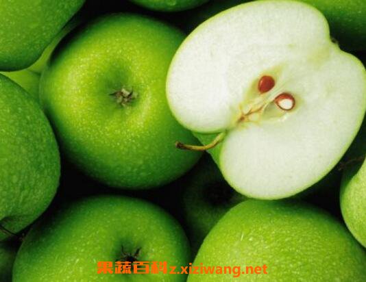 ����ƻ����ʲô�ô� ��ƻ����Ӫ���ɷ�