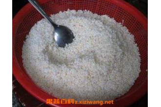 Ŵ���ݶ�ÿ��԰����� �����ӵĺ춹Ҫ�ݶ��