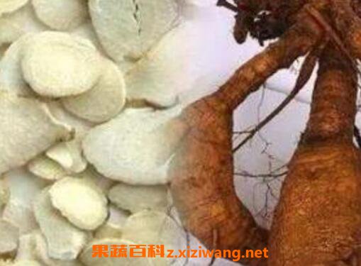 ����������빦Ч ����ĸ�����