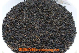 �β���֬�Ĺ�Ч������