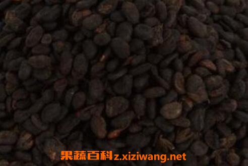 �β���֬�Ĺ�Ч������