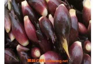 ��𽪹�Ч������ ��𽪶��˵ĸ�����