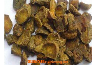 �ﳴ�����Ĺ�Ч�����ü�ҩ�ü�ֵ