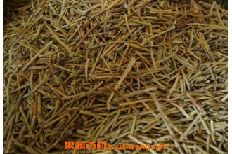 �ѹ�Ӣ����ô�� �ѹ�Ӣ����ʳ�÷���