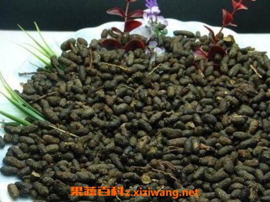 ������֬�Ĺ�Ч������