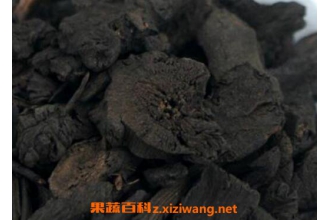 ����̿�Ĺ�Ч�����ü�ҩ�ü�ֵ