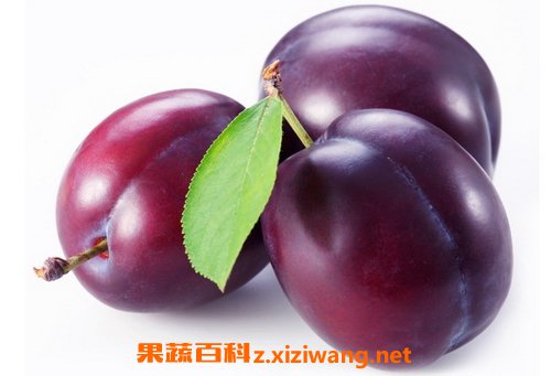 ���ӵ�Ӫ����ֵ