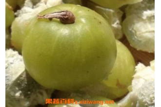 �����ˮ��ʲô��Ч �������ˮ�ĺô�