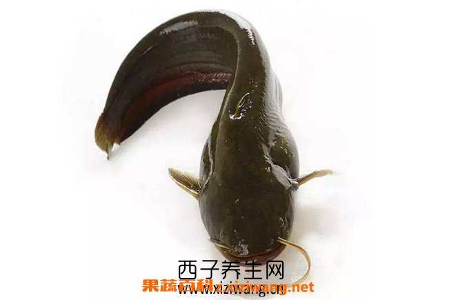 ����
