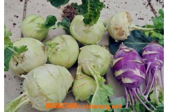 ��������ô���źó� �����˵ĳԷ�����