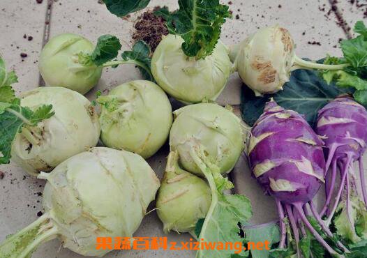 ��������ô���źó� �����˵ĳԷ�����