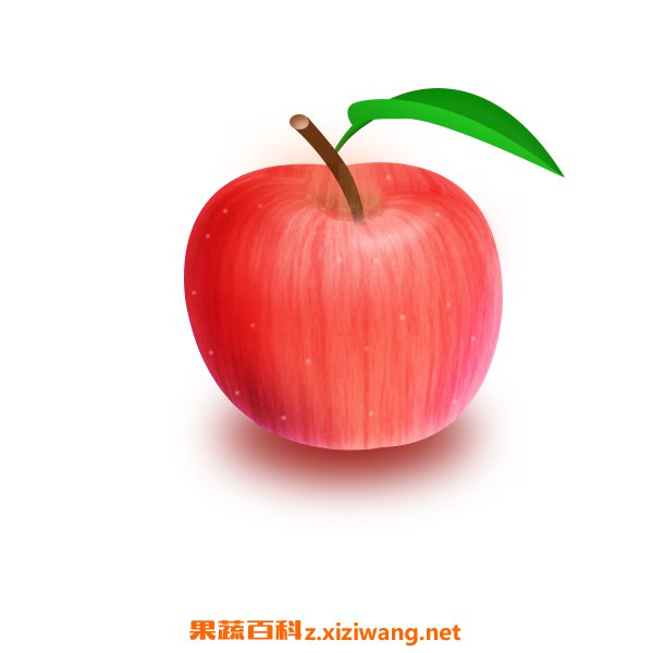 ƻ���Ĺ�Ч