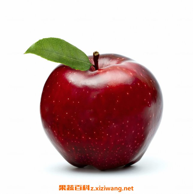 ƻ����Ӫ����ֵ