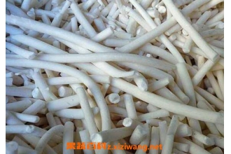 ͨ�̲ݵ������빦Ч ͨ�̲���Ŀ���������