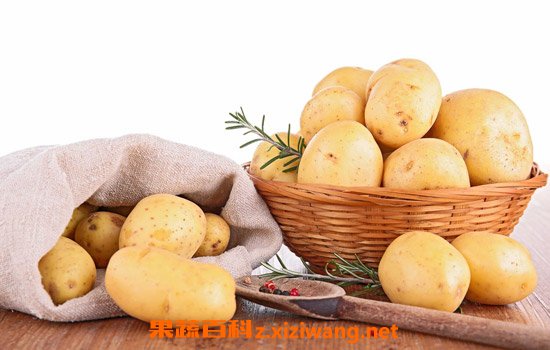 ������Ӫ����ֵ