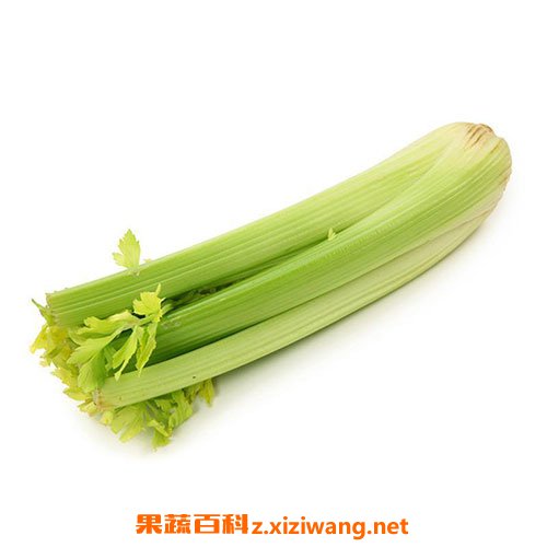 ����Ӫ����ֵ