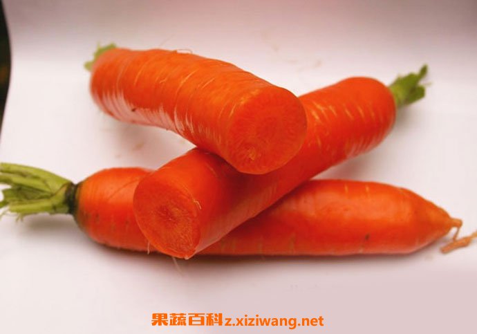 ���ܲ�Ӫ����ֵ