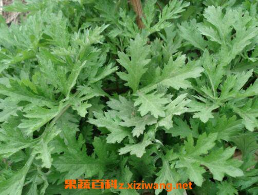 ˮ�ۻ��Ĺ�Ч������