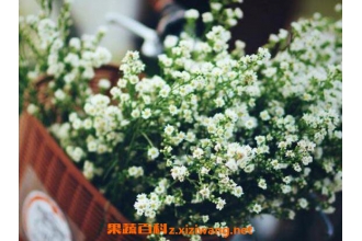 ��������ô�� �����ǵ���ֳ��������