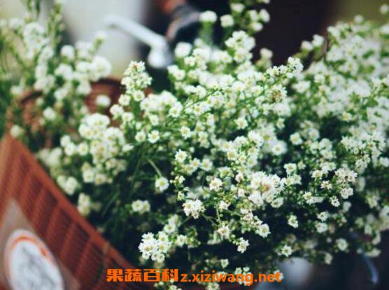 ��������ô�� �����ǵ���ֳ��������