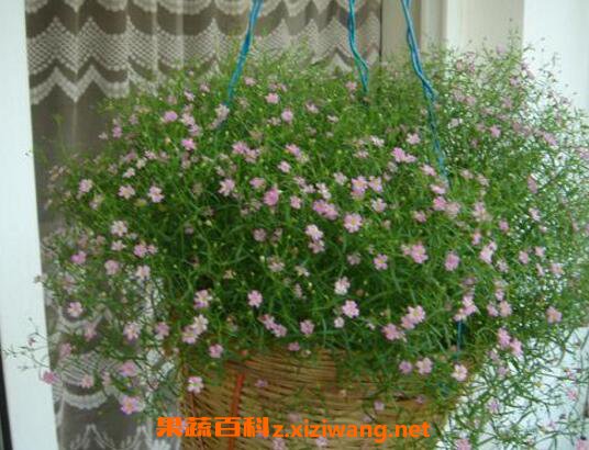 ��������ô�� �����ǵ���ֳ��������